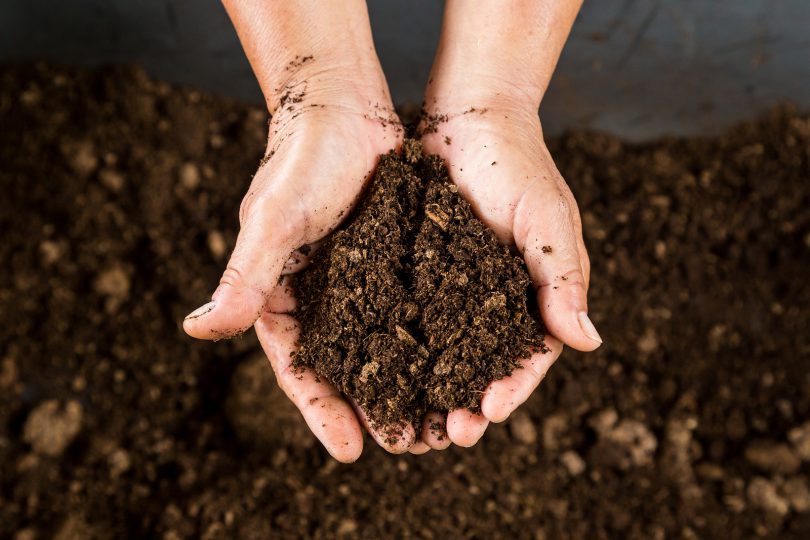 Fazer compostagem doméstica