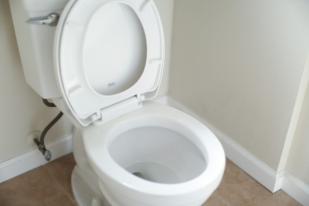 Como evitar vaso sanitário entupido