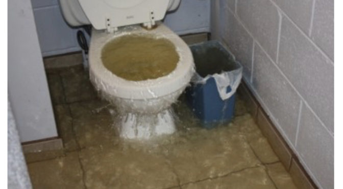 Vaso sanitário entupido